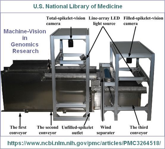 genomics-machine-vision